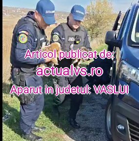 actualvs.ro-jandarmi-catei-20251028204902.jpg