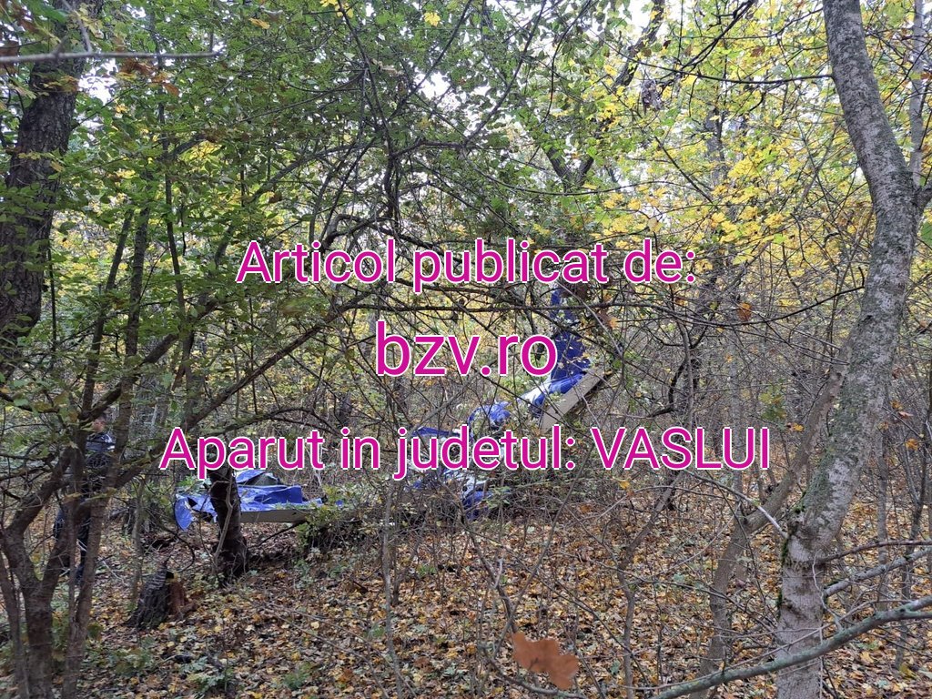 bzv.ro-d5f181b2-fc0d-4-20251023120231.jpeg