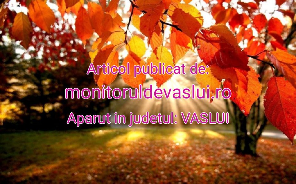 monitoruldevaslui.ro-Vreme-toamna-so-20251031073021.jpg