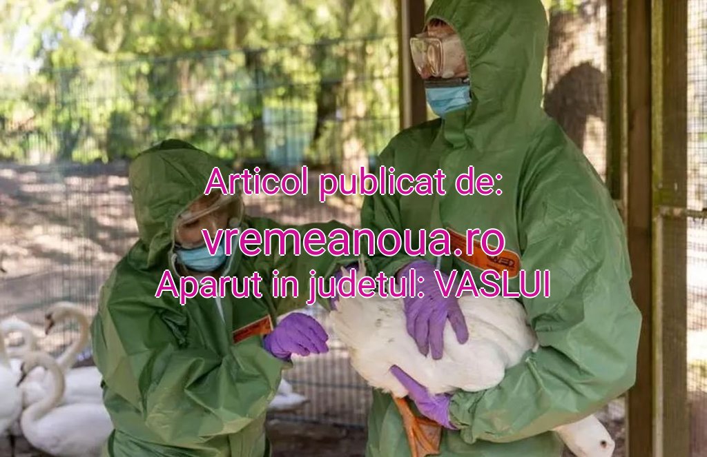 vremeanoua.ro-6-15-20251024160808.jpg